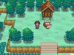 Pokemon Blaze Black 2 screenshot 3
