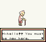 Pokemon Brown screenshot 2