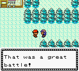 Pokemon Christmas 2012 screenshot 2