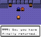 Pokemon Dark Energy screenshot 3