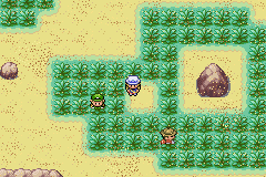 Pokemon Fuligin screenshot 4