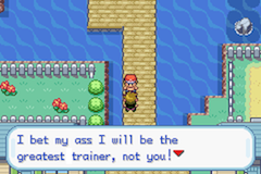 Pokemon My Ass screenshot 2