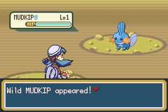 Pokemon Shiny Gold X screenshot 2